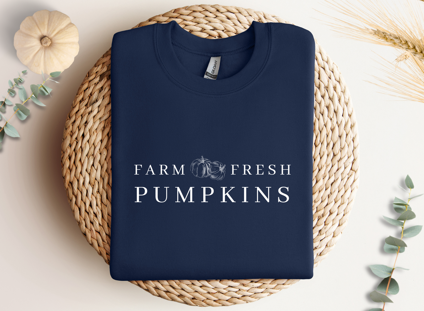 Fall Farm Sweater