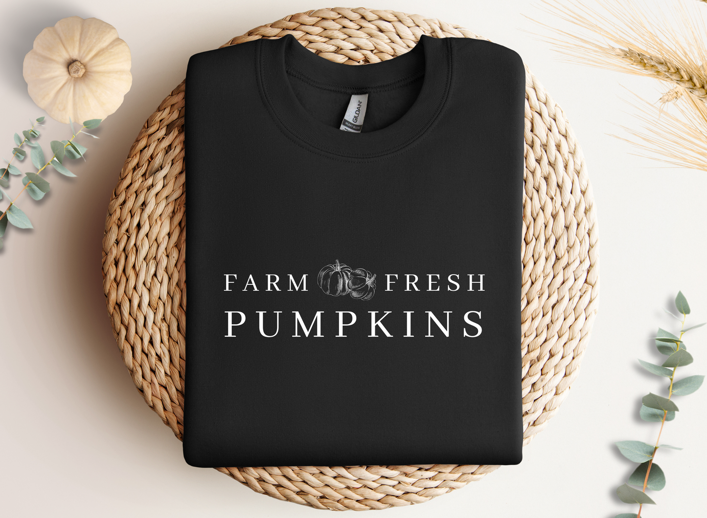 Fall Farm Sweater
