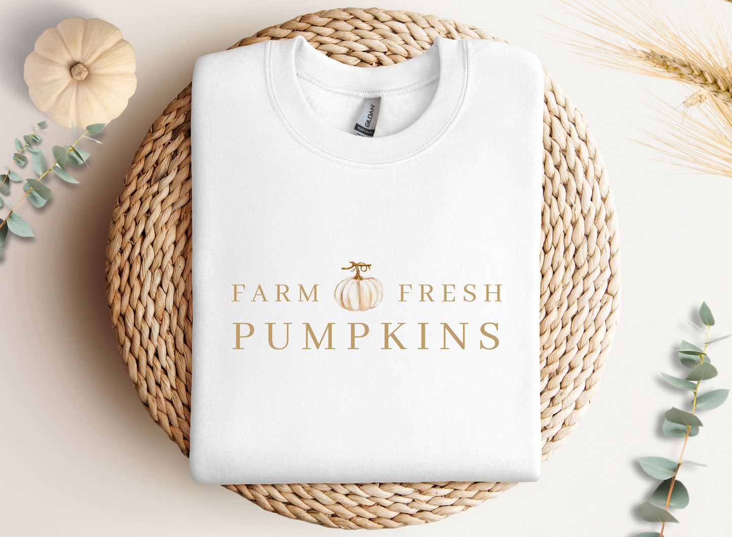 Fall Farm Sweater